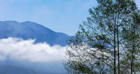 Morning Rainforest Clouds Between Mountain Ridge, Blue Skies And Tree Forground Stock-Footage 137550119