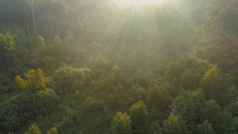 Morning rays of the sun break through the branches of young spring trees. Aerial 스톡 동영상 124314133