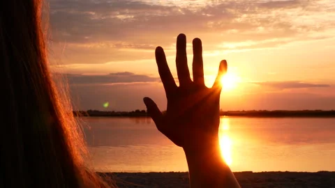 Morning rays of the sun Stock Footage 234288966