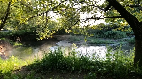 Morning River 1 Stock Footage 112397755