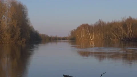 Morning river flows in the spring Stock-Footage 283566147