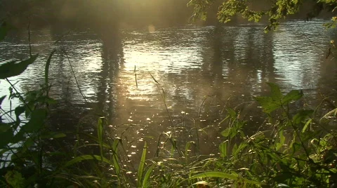 Morning River Stock Footage 380474