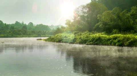 Morning at the river Stock Footage 43165474