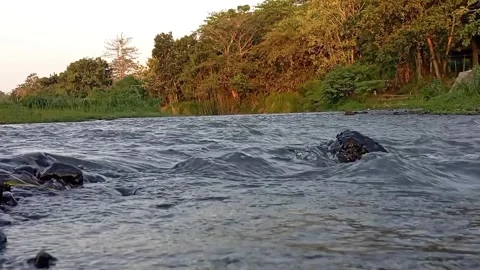 Morning River Stock Footage 247164752