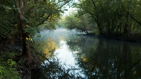Morning river reflection Stock Footage 138602242