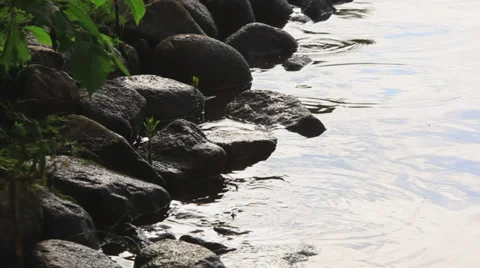 Morning on the river_7 Stock Footage 32700789