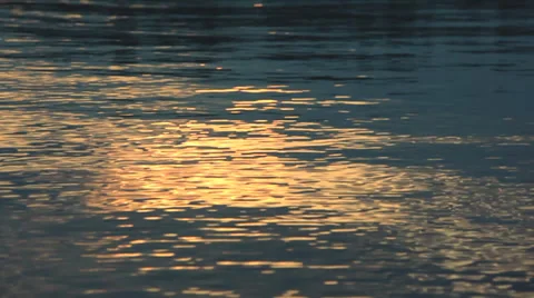Morning on the river_8 Stock Footage 32701224