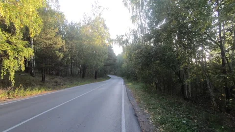 Morning road among the birches in the sun Stock Footage