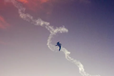 Morning Rocket Launch, August 4, 2022 Cape Canaveral, Florida Stock Photos