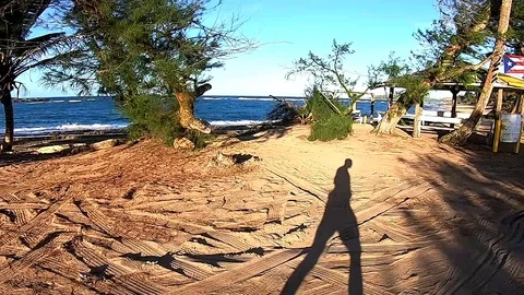 Morning Run at The Beach Stock Footage 129513047