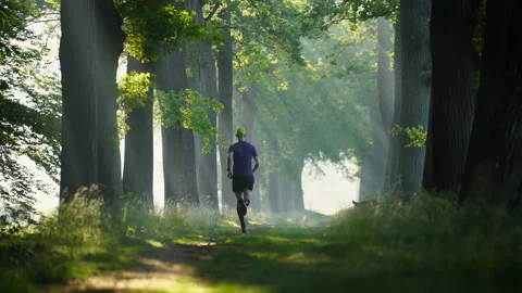 Morning run Stock Footage 156456468