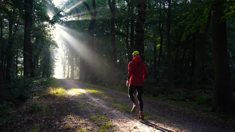 Morning run Stock Footage 210223220