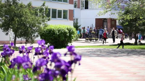 Morning at school Stock Footage 67351723