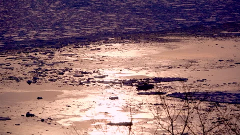 Morning Sea Ice and Cod Fishing Boats 스톡 동영상 332263002