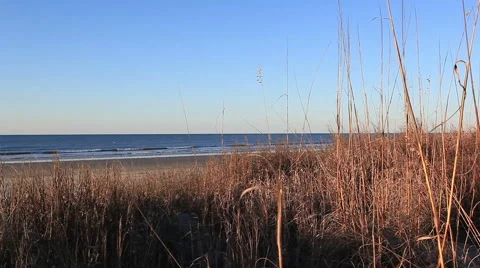 Morning seascape Stock Footage 49227707