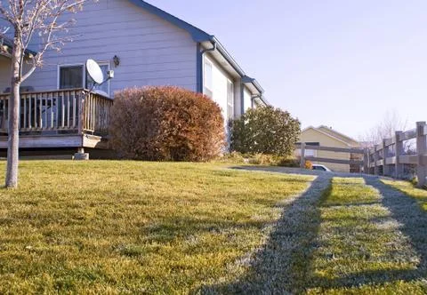 Morning Shadows In The Backyard Stock Photos