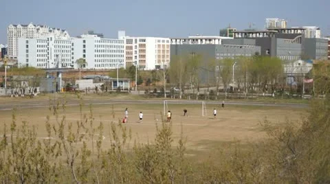 Morning Soccer Study Stock Footage 11024327