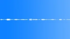 The morning sounds of the forest.Sound Effect
