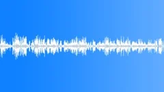 Morning Spring Birdsong 2 Sound Effect
