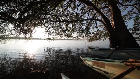 Morning sun and rays falling into the lake. Video stock 155852641