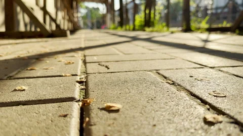 Morning Sun Casts Long Shadows on a Brick Sidewalk as the City Awakens Stock Footage 335900259