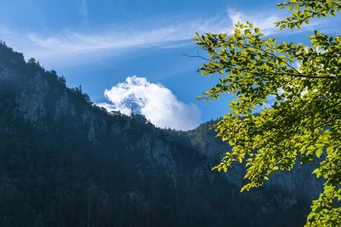 The Morning Sun Dissolves The Clouds Stock Photos