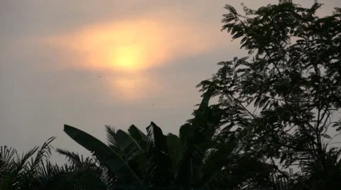 Morning sun Video stock 34970087