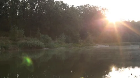 The morning sun 库存影片 115650555