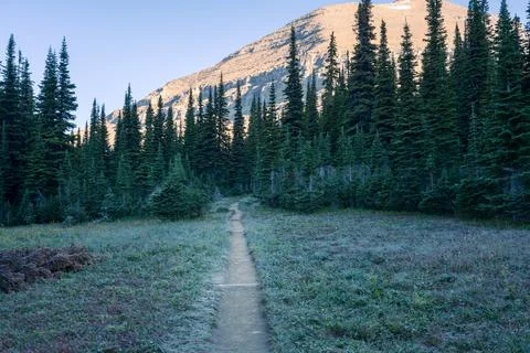 Morning sun lights up a peak while meadows are still in a shadow. Cold sunny Stock Photos
