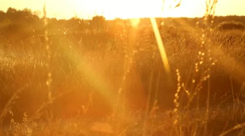 The morning sun ntsc Stock Footage 22322574