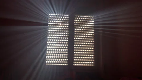 Morning sun rays breaking through the window shutter blinds of cozy apartment Vídeos de archivo 171947988