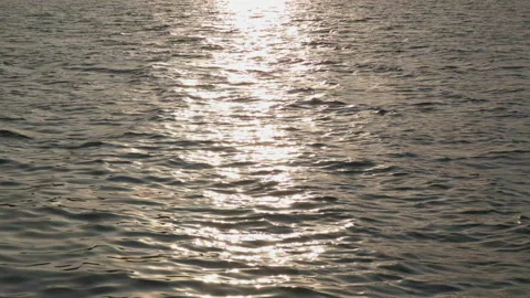 Morning Sun Reflected on the Water Surface Stock-Footage 332503215