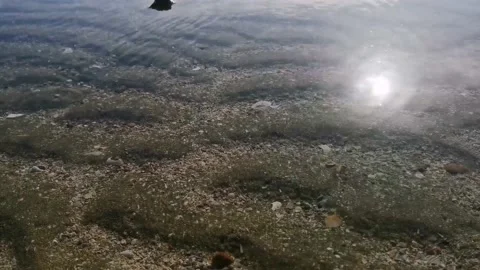 Morning sun reflection Stock Footage 136811496