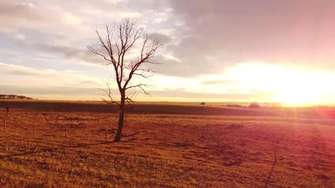 Morning sun rise tracking motion on the Canadian Prairies. Stock Footage 165956597