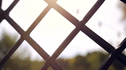 Morning sun through the cobweb, and a metal fence Stock Footage 141010228