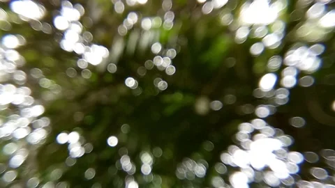 Morning sunlight Stock Footage 313187723