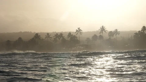 Morning Sunlight Ocean Stock Footage 100993227