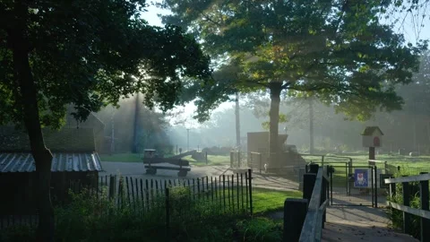 Morning sunlight streaming through trees in a misty park Vidéo 320812527