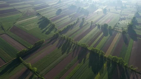 Morning Sunrays Illuminate the Spring Fields with Beautifully Sown Parcels 스톡 동영상 274728035