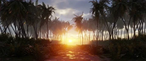 Morning sunrise, tropical overgrown jungle trail, misty island palm trees Stock Footage