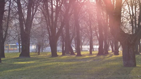Morning sunshines in empty park.  库存影片 127700375