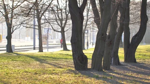 Morning sunshines in empty park.  Stock-Footage 127702900