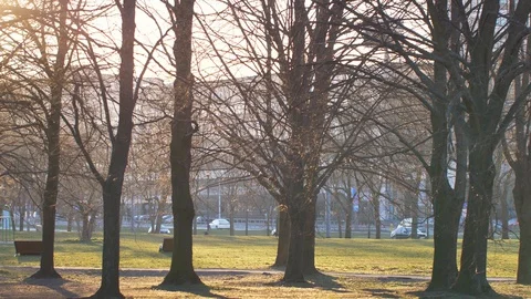 Morning sunshines in empty park.  스톡 동영상 127703751
