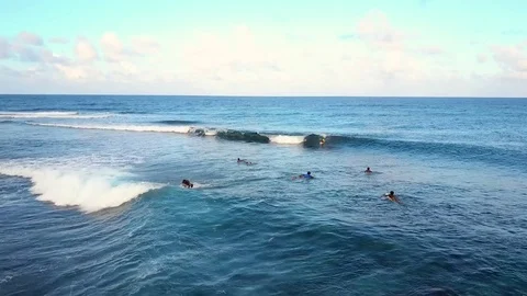 Morning Surfer Stock Footage 76718856