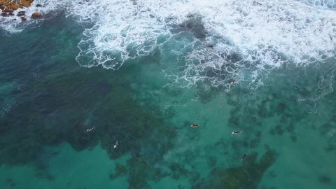 Morning Surfer Stock Footage 76892285