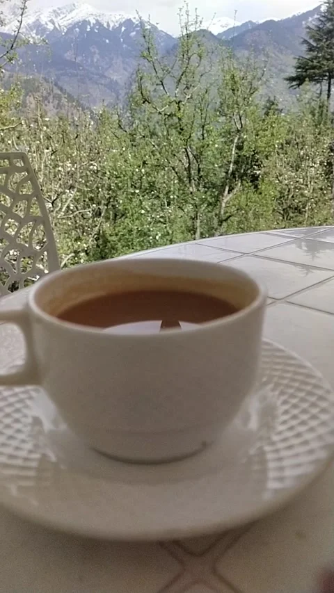Morning tea with mountain view Vidéo 238739541
