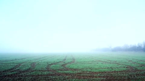 In the morning there is an empty field 4K Stock Footage 256063944