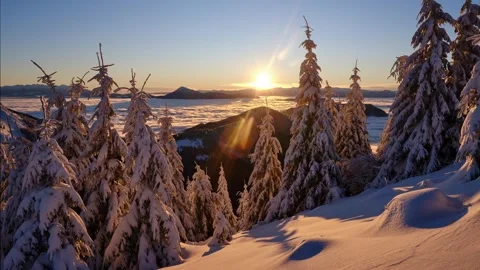 Morning time lapse view through snowy pine trees over cloud inversion and golden 動画素材 322674911