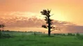 Morning timelapse HD Footage