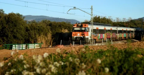 Morning train with graffiti going through fields 스톡 동영상 122774774